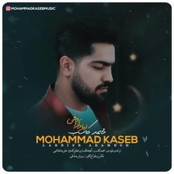 Mohammad Kaseb – Labrize Aramesh